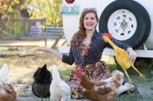 dt.common.streams.StreamServer.cls